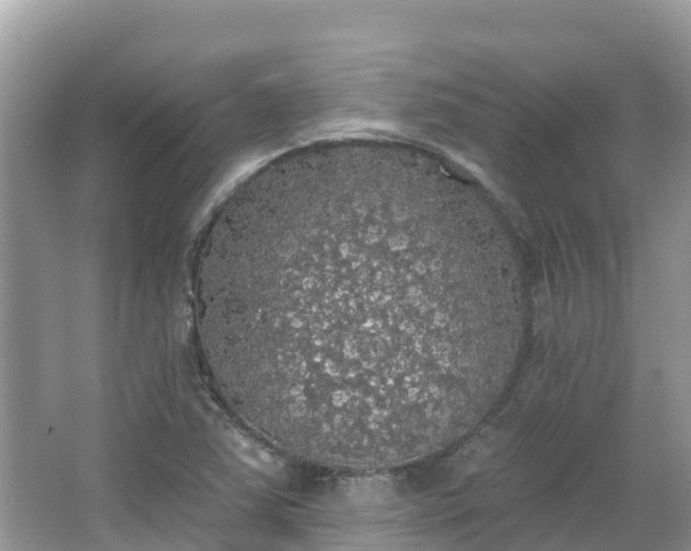 X0000066971363200603311438