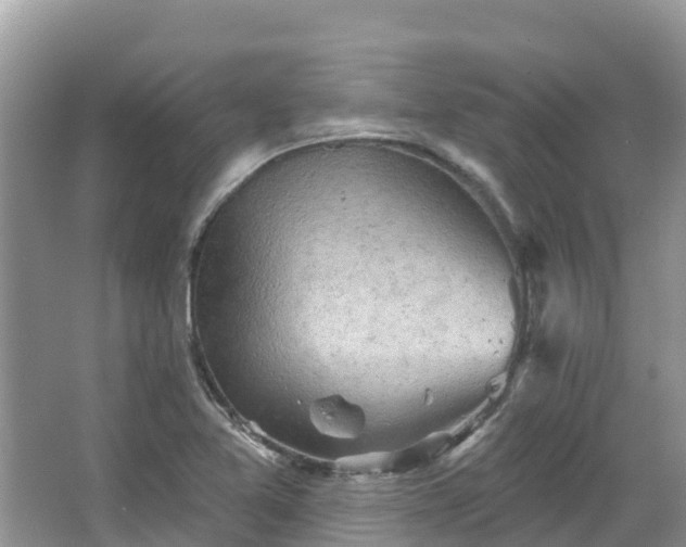 X0000066971365200603311438