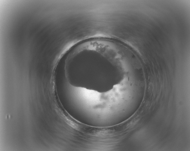 X0000066971367200603311438