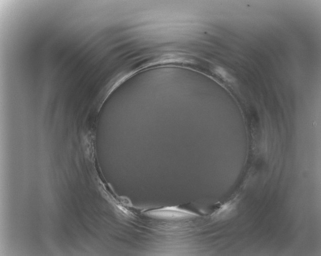 X0000066971369200603311438