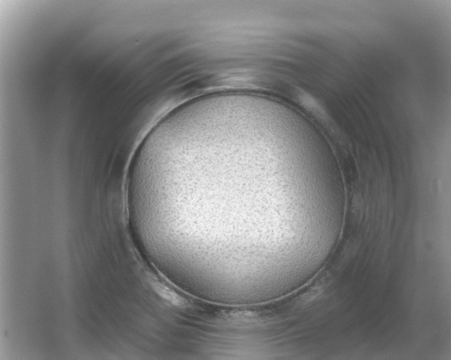 X0000066971370200603311438