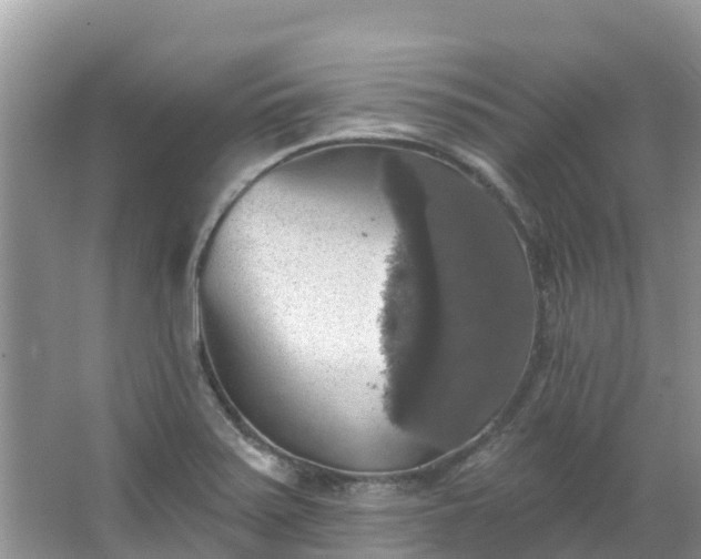 X0000066971371200603311438