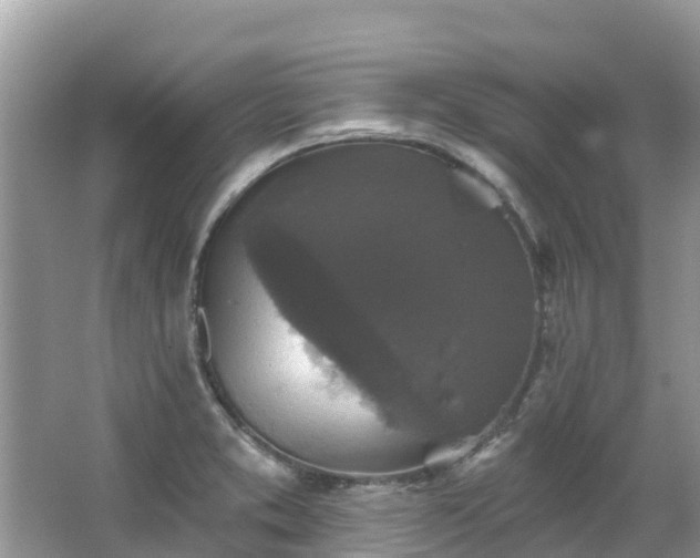 X0000066971373200603311438