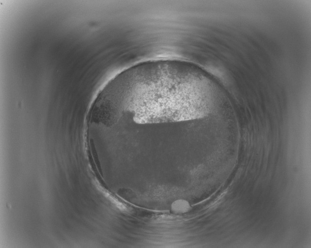 X0000066971374200603311438