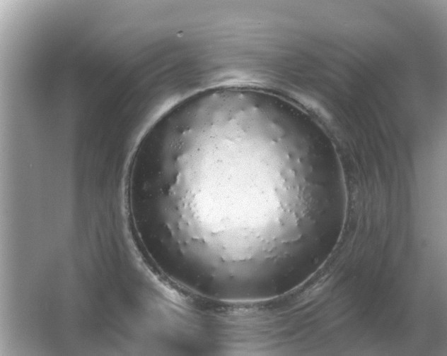 X0000066971375200603311438