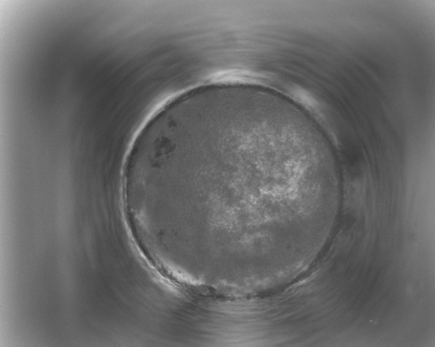 X0000066971376200603311438