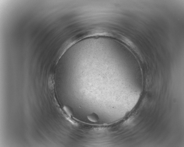 X0000066971377200603311438