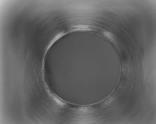 X0000066971378200603311438