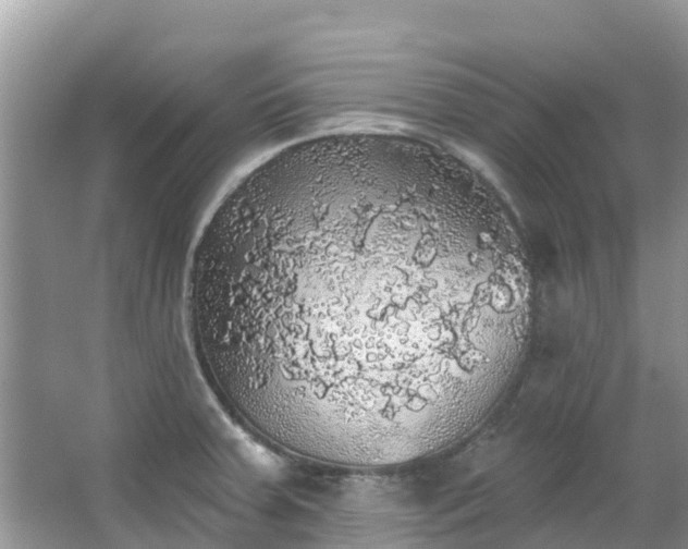 X0000066971379200603311438