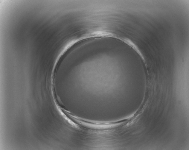 X0000066971381200603311438