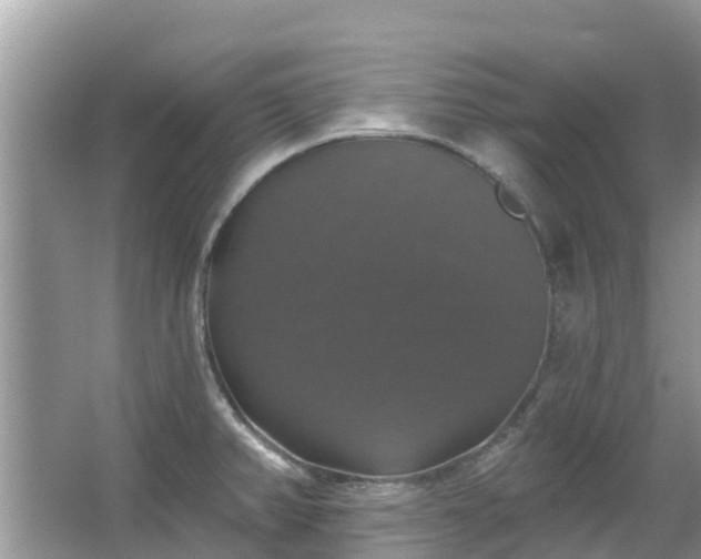 X0000066971382200603311438