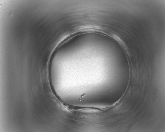 X0000066971384200603311438