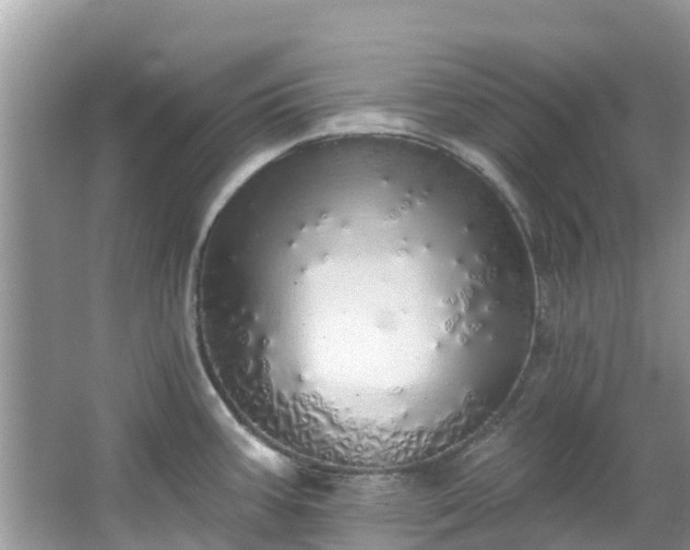 X0000066971387200603311438