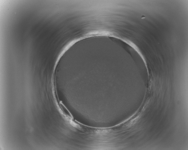 X0000066971389200603311438