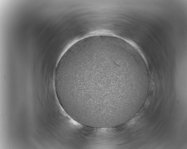 X0000066971390200603311438