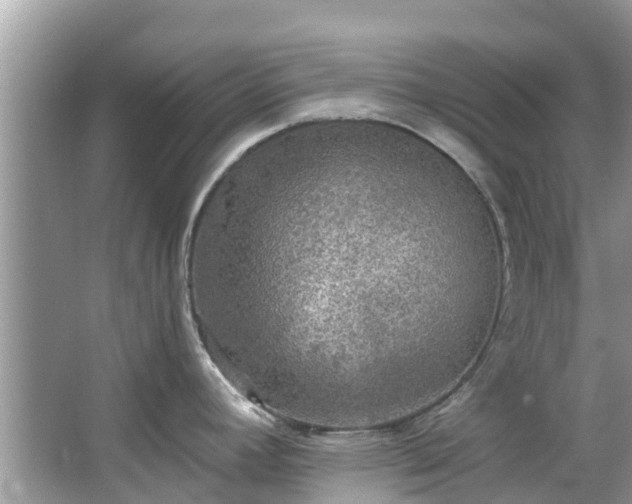 X0000066971392200603311438