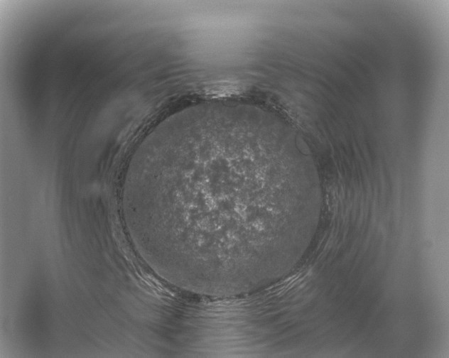 X0000066971393200603311437