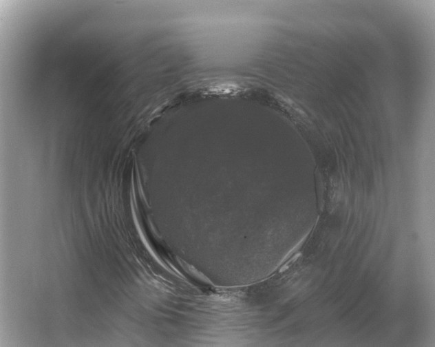 X0000066971394200603311437