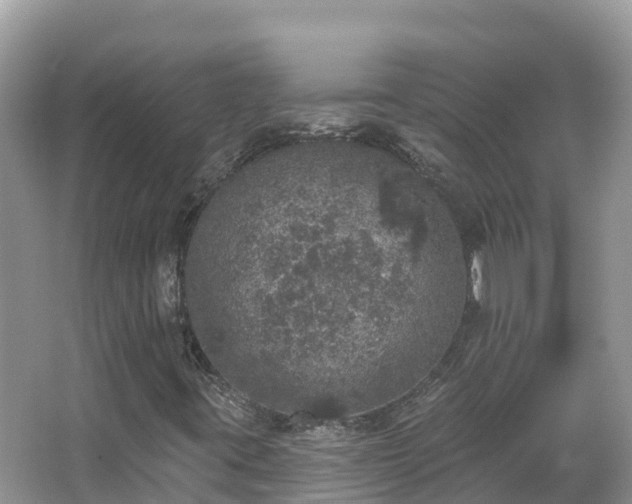 X0000066971395200603311437