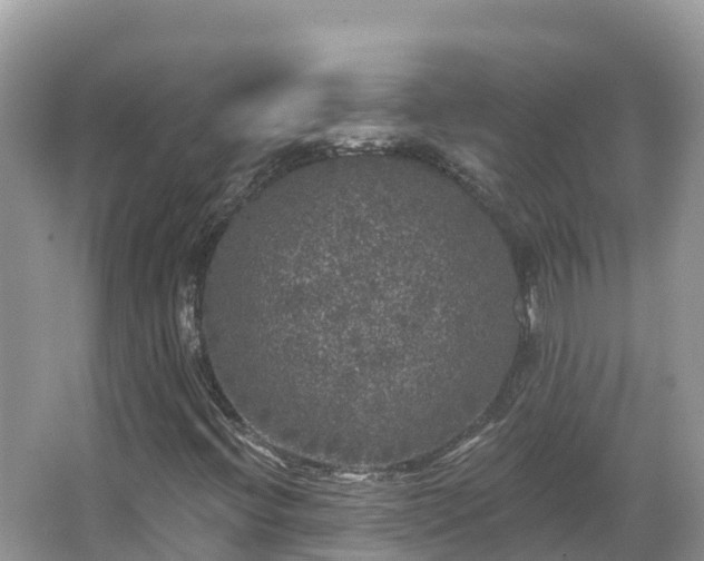 X0000066971396200603311437