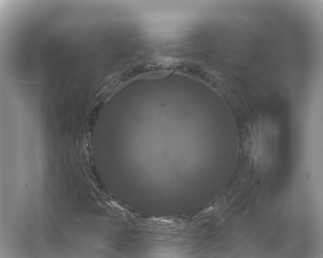 X0000066971397200603311437