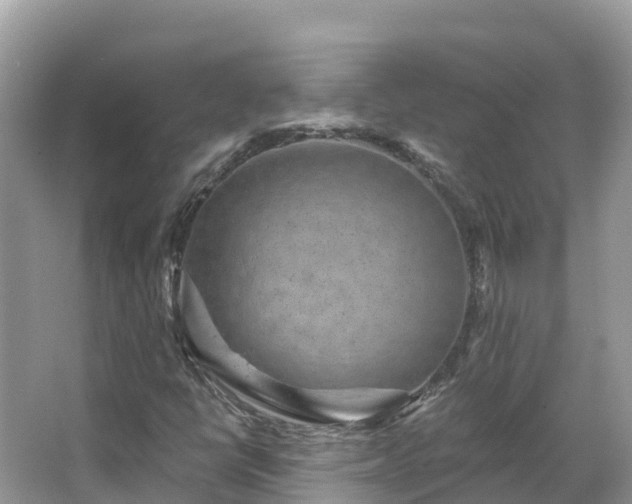 X0000066971398200603311437