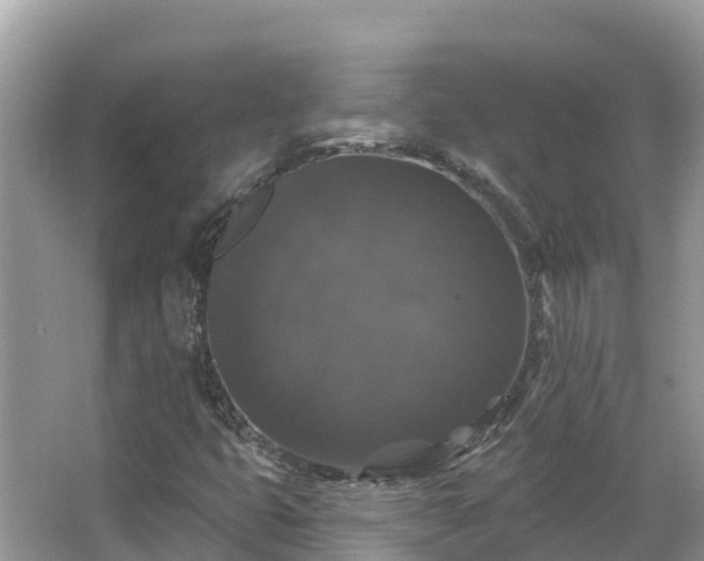 X0000066971399200603311437