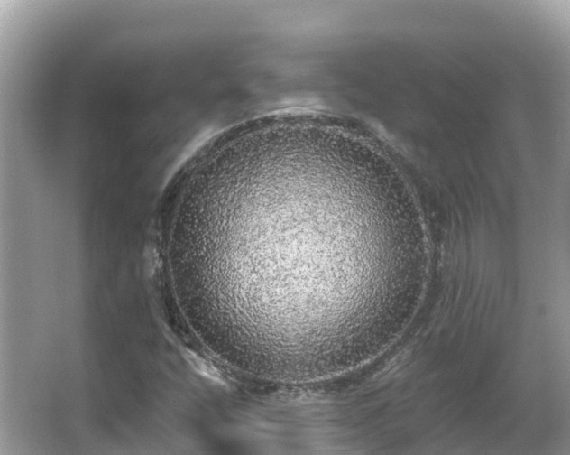 X0000066971400200603311437