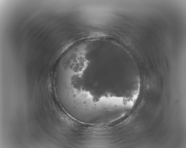 X0000066971401200603311437