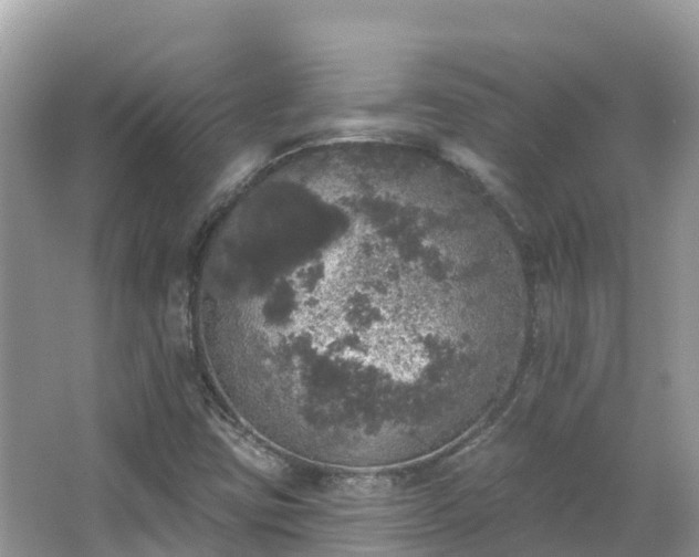 X0000066971403200603311437