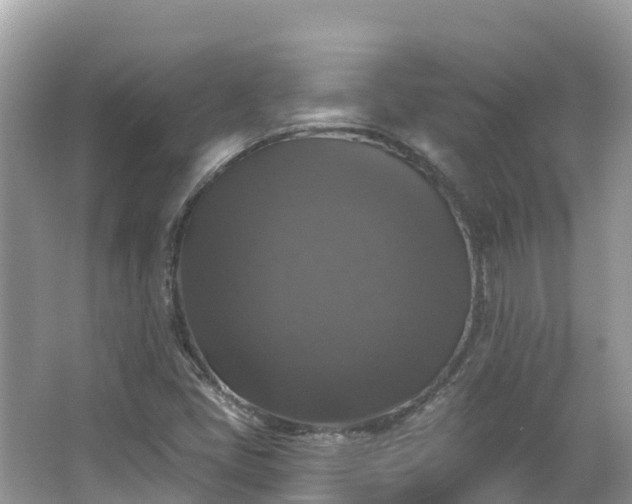 X0000066971405200603311437