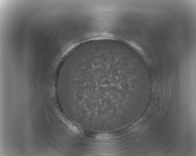 X0000066971407200603311437