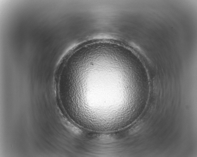 X0000066971408200603311437