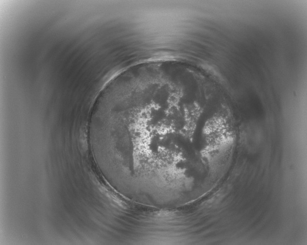 X0000066971409200603311437