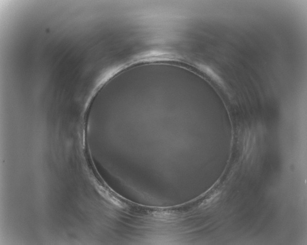 X0000066971413200603311437