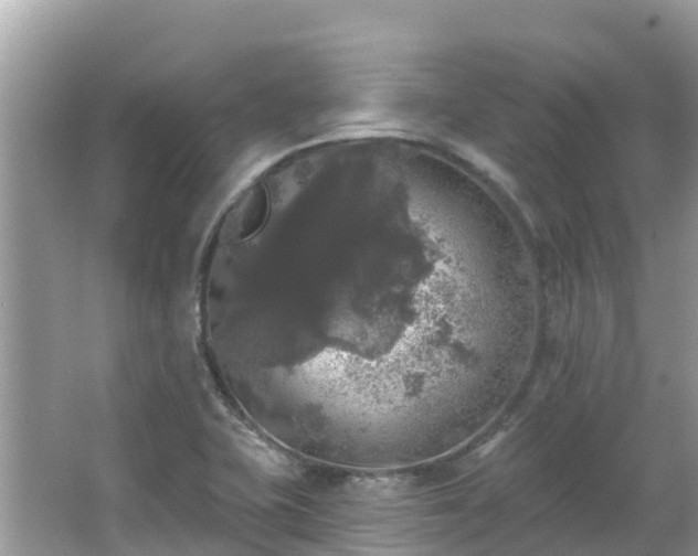 X0000066971415200603311437