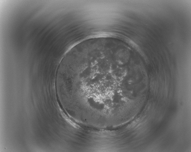 X0000066971417200603311437