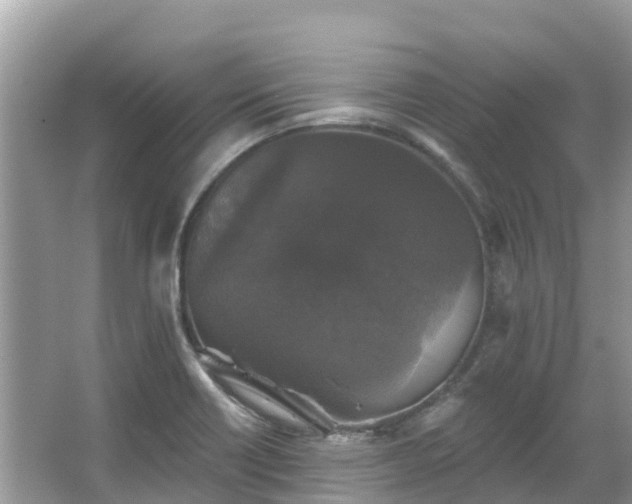 X0000066971418200603311437