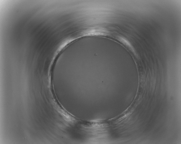 X0000066971419200603311437