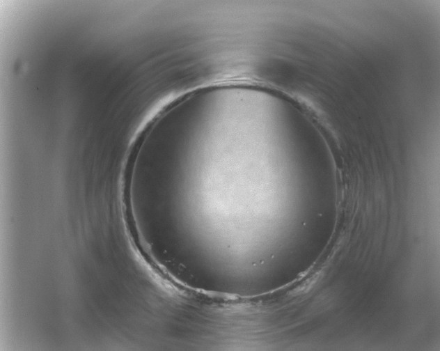 X0000066971422200603311437