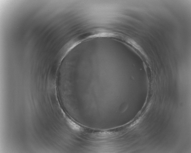 X0000066971425200603311437