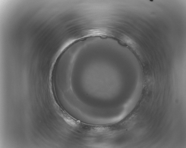 X0000066971427200603311437