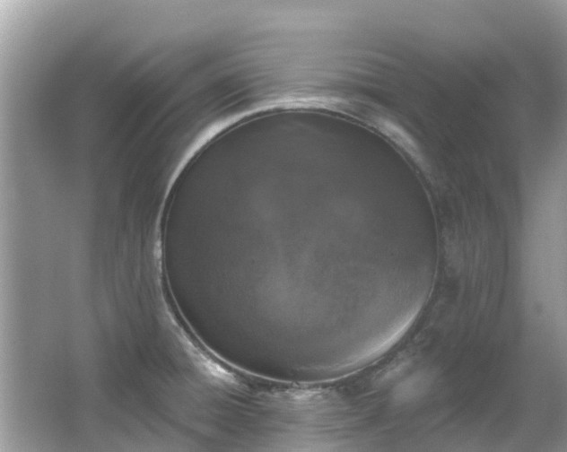 X0000066971428200603311437