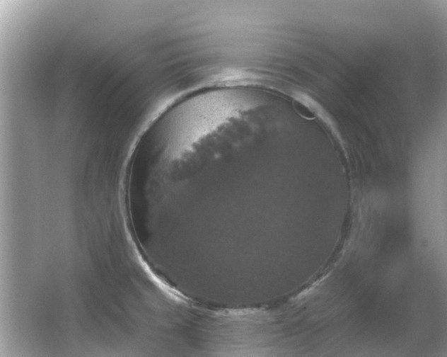 X0000066971429200603311437