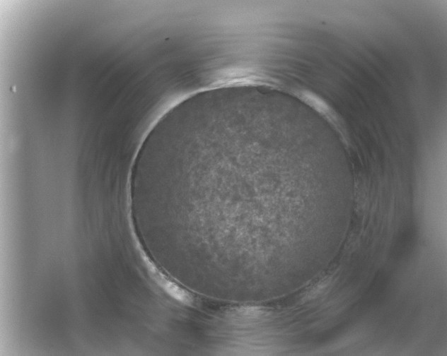 X0000066971431200603311437