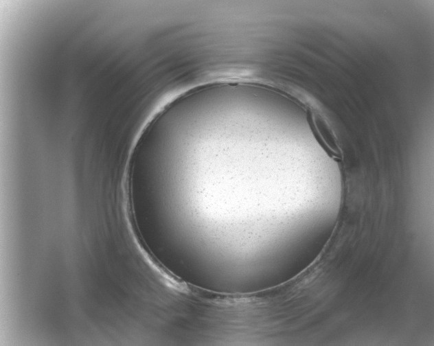 X0000066971432200603311437