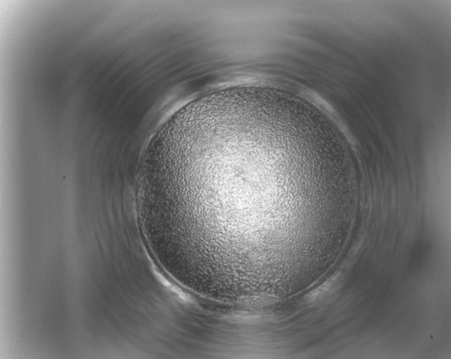 X0000066971433200603311437