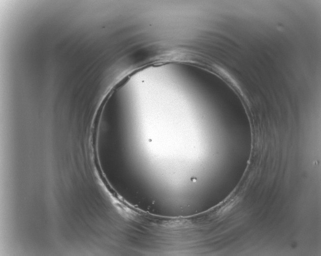 X0000066971434200603311438