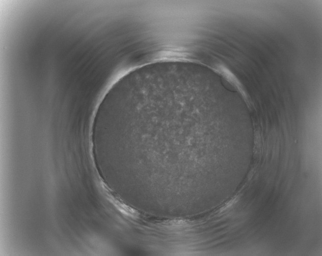 X0000066971435200603311438