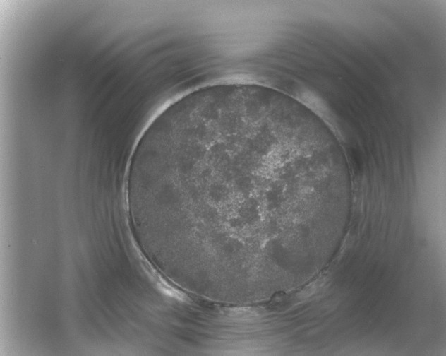 X0000066971436200603311438